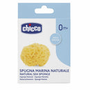 Chicco Natural Marine Sponge - Medium