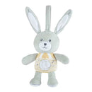 Chicco Sweet Melodies Bunny Toy
