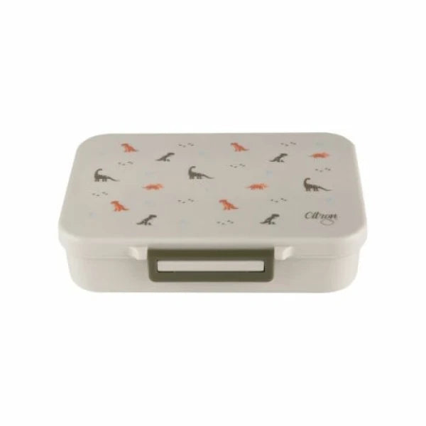 Citron Dino Medium Lunch Box