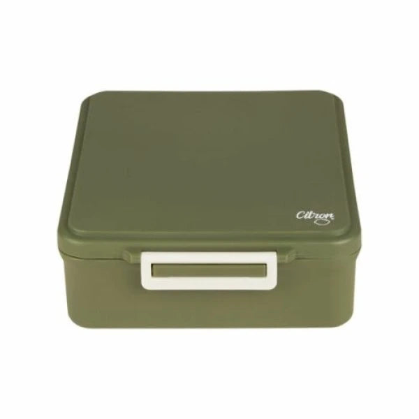 Citron Large Lunch Box with Terms 250ml Green