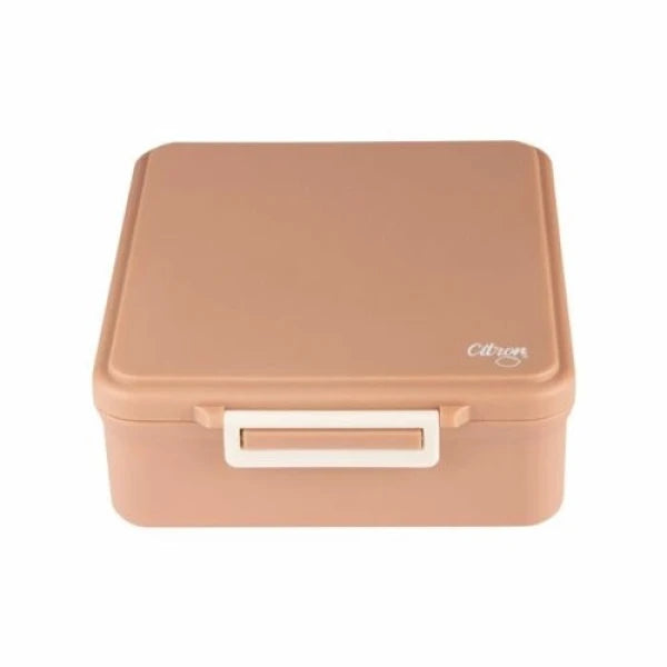 Citron Large Lunch Box with Terms 250ml Pink