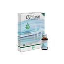 Lynfase Concentrated Fluid x12