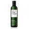 Lazartigue Rebalance - Balancing Shampoo 250ml
