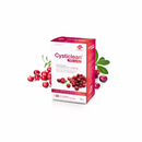 Cysticlean 240 Capsules