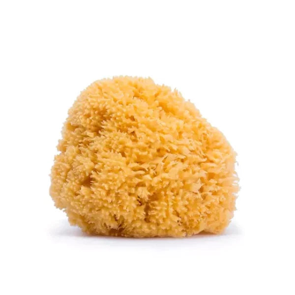 Suavinex Medium Natural Sponge +0m