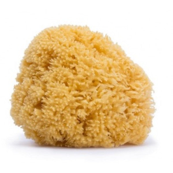 Suavinex Large Natural Sponge +0m