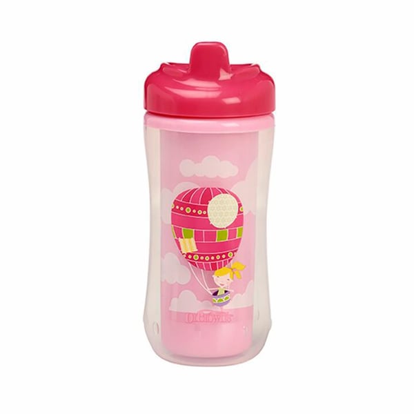 Dr. Browns Thermal Insulated Cup with Mouthpiece +12m 300ml