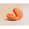 Tangle Teezer Original Plant Orange Hair Brush