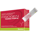 Fisiogen Ferro Forte Sachets Granules x30