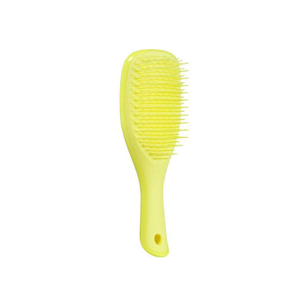 Tangle Teezer Mini Hyper Detangler Brush