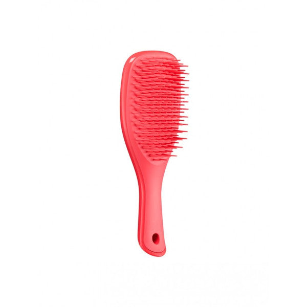 Tangle Teezer Mini Pink Punch Detangler Brush