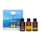 Apivita Pack Discovery Ready to Go Essentials