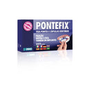 Fimo Pontefix - Kit Fixes Bridges, Capsules and Dental Implants