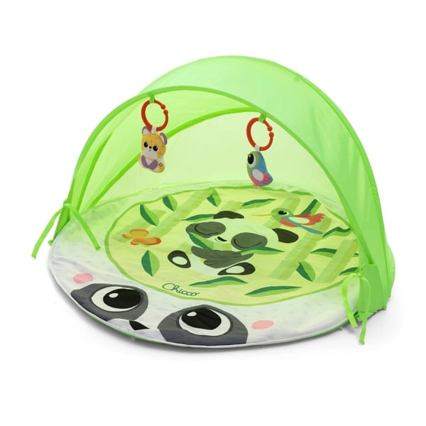 Chicco Evolutionary Gym Toy Out & Indoor