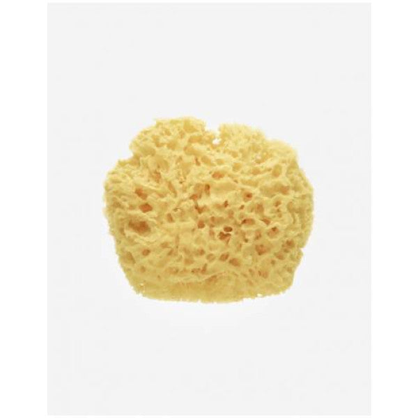 Saro Premium Natural Baby Sponge