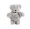 PASSO THE agba Teddy bea