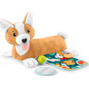 FISHER-PRICE HJW10 Dog 3 in 1