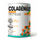 Colagenius Active Orange Polvere 345g