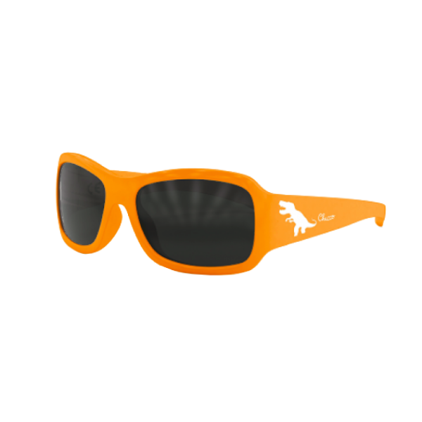 Chicco Men's Adventure 24M+ Sunglasses
