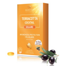 Terracotta Cocktail Hnub Ci X30