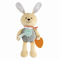 Chicco Toy Bunny የመጀመሪያ እንቅስቃሴዎች